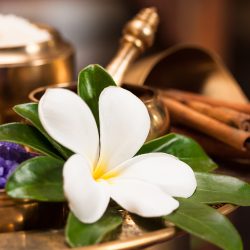 set of thai spa herb with plumeria flower, purple salt and cinnamon stick in background